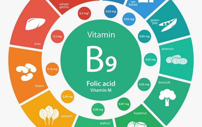 A B9-vitamin más néven folát