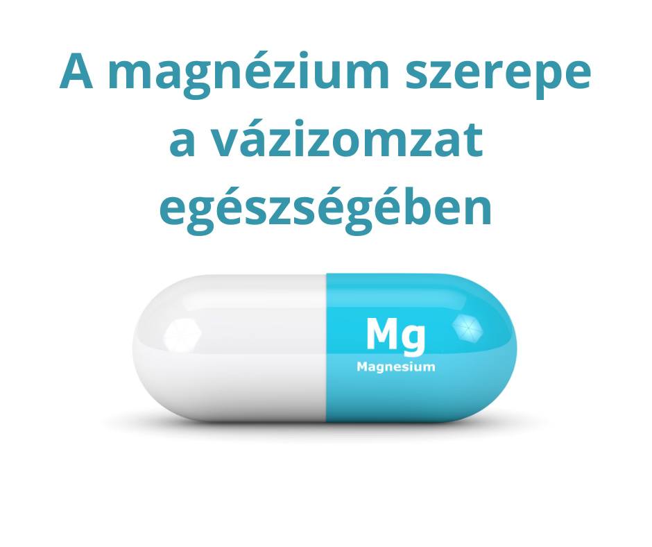 A magnézium szerepe a vázizomzat egészségében